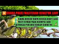 Download Lagu Suara pikat remetuk laut//Masteran remetuk laut