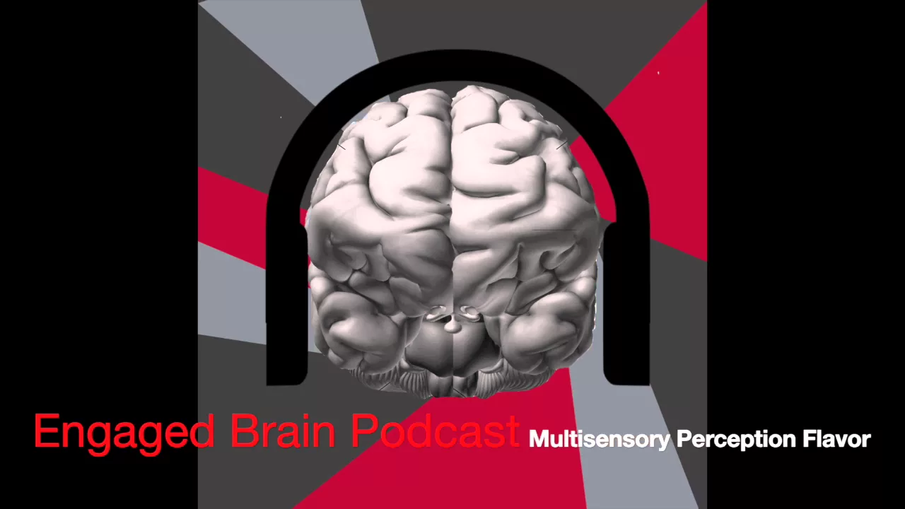Multisensory Perception Flavor