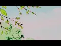 nex to me - emeli sandé (slowed) in an empty arena