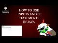 How to Use Inputs and If Statements in Java
