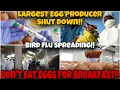 Download Lagu America's Largest Egg Producer Shut Down As Scientist Warn Bird Flu Is 100 Times Worse Than Covid !!