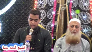  أحمد رضا صاحب الصوت الندي وأنشودة  إن  ي أذك   ر  ن س وة ورج الا    ما ك ل   ح ب في الزمان  حلالا   دندنها