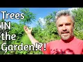 Trees IN the Garden