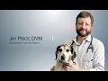 Southern Veterinary Partners Jay Price Birmingham Venture Club Jemison Award