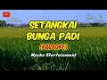 SETANGKAI BUNGA PADI - Santa Hoky (Karaoke) Dangdut Live Band || Nada Wanita || DIS=DO