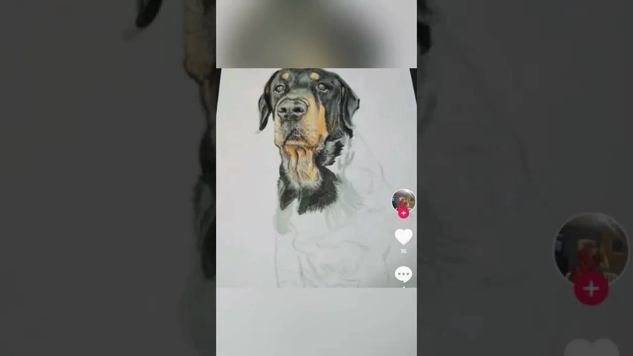 Dibujos mix
