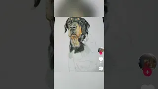 Dibujos mix