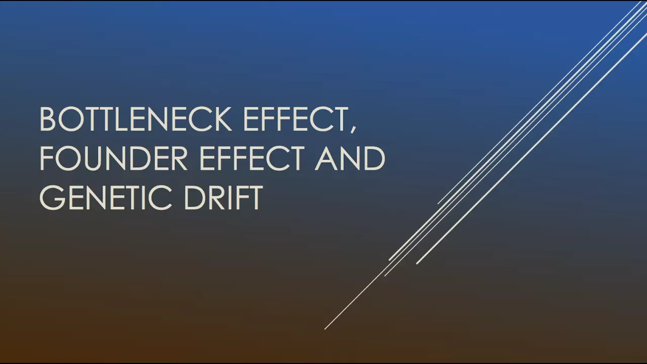 Genetic Drift: Bottleneck Effect and Founder Effect | Biology |