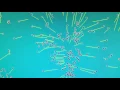 Predator simulation written in Python