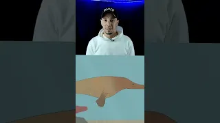 الحوت كان بيعيش علي الارض زيك بظبط 