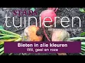 Download Lagu Stadstuinieren - Bieten in alle kleuren