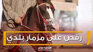 أجمل رقص خيل عربي أصيل على مزمار بلدي في الفيديو ده دندنها