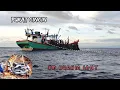 Download Lagu Big Catch Fishing in The Deep Sea With Big Boat - Amazing Tuna Fish Processing Skill