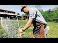 This Will Be EVERYTHING You Need to Know About Electric Poultry Netting