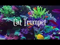 Neon Coral Reef Aquarium ~ Relaxing Music for Sleep, Study, Meditation & Yoga • Screensaver • 3 HRS