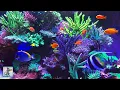 Neon Coral Reef Aquarium Relaxing Music for Sleep Study Meditation Yoga Screensaver 3 HRS