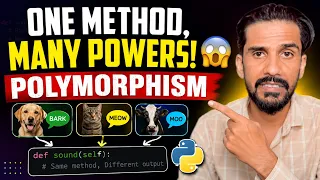 Python Polymorphism Explained OOP Made Easy with Real Examples