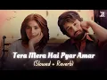 Download Lagu Tera Mera Hai Pyar Amar (Slowed + Reverb) | Ishq Murshid OST | Ahmed Jahanzeb | Zesan Rahaman