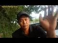 Lagu habis cari stik pulut, langsung gass mikat (malah poin glatik jawa bos ku 🤣)