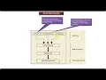 Java Servlet Tutorial 12 Servlet Class Hierarchy