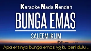 Download Bunga Emas~Saleem Iklim Karaoke Lower Key Nada Rendah -4 MP3