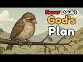 God has a Better Plan for You Motivational Story with Life Lesson A Little bird story