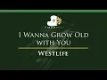 Download Lagu Westlife - I Wanna Grow Old with You - LOWER Key (Piano Karaoke / Sing Along)