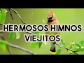 Download Lagu Los mejor himnos del Ayer 70's, 80's y 90's - Bellos himnos que tocan el fondo del corazón