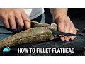 How To Fillet Flathead We Flick Fishing s