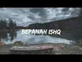 Download Lagu Bepanah Ishq (Lyrics) Payal Dev , Yasser Desai | Surbhi Chandna , Sharad Malhotra | Kunnal V