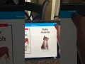 Raz Kids Tutorial