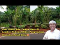 Download Lagu Luar Biasa Ada Taman Baru Di Lembur Pakuan, Bikin Pengunjung Semakin Betah Saja🤩