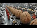 Lagu How California Walnuts Are Made: Inside the High-Tech Factory from Harvest to Laser Sorting
