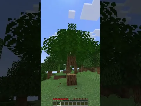 Minecraft Meme #minecraft