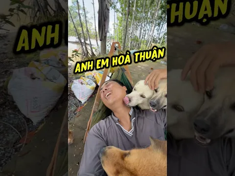 Anh Sen đã bị bầy đàn em bao vây #tamchoco