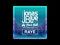 Jonas Blue - By Your Side ft. Raye (Audio)