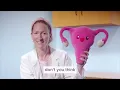 Female Anatomy Explained Learn with Dr Rachel