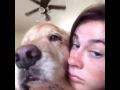 nut - Vine Compilation