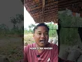Download Lagu Gue herannya, nemu dari mana bang? #rohmadso #shortsvideo #komedi