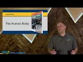 Chapter 6 The Human Body 4K