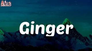 lyrics ginger feat burna boy wizkid