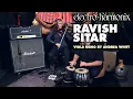 Lagu Electro-Harmonix Ravish Sitar Emulator Pedal (Demo with Viola by Andrea Whitt)