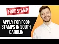 HOW TO APPLY FOR FOOD STAMPS IN SOUTH CAROLINA FULL GUIDE 2025