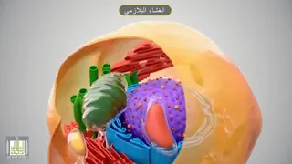 مكونات الخلية رحلة داخل الخلية الحية 