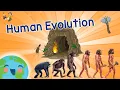 Human Evolution For Kids - Evolution Of Humans Learning s for Kids