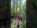 Download Lagu Suasana kebersamaan ritual adat Dayak Kanayant sebelum memasuki masa bercocok tanam