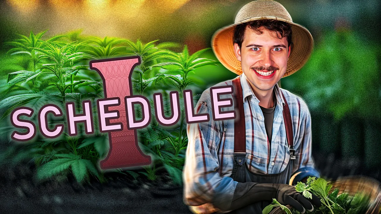I cant stop playing schedule 1