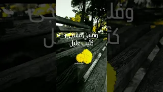 تمر ببالي كطيف جميل 