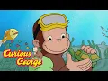 An Underwater Monkey Curious George Kids Cartoon Kids Movies