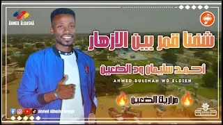 الفنان احمد سليمان ود الضعين شفنا قمر بين الازهار مزازيك الضعين المصمم الباشا 